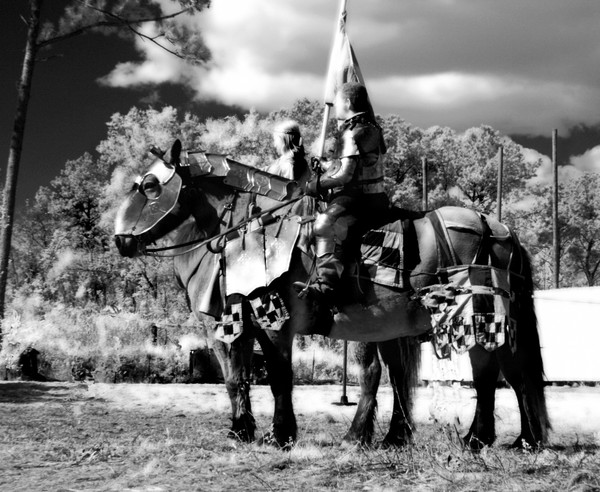 Knights in shining armor