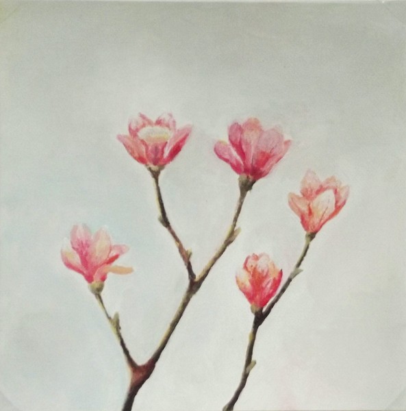 Magnolia illuminated by sunset (greeting card)