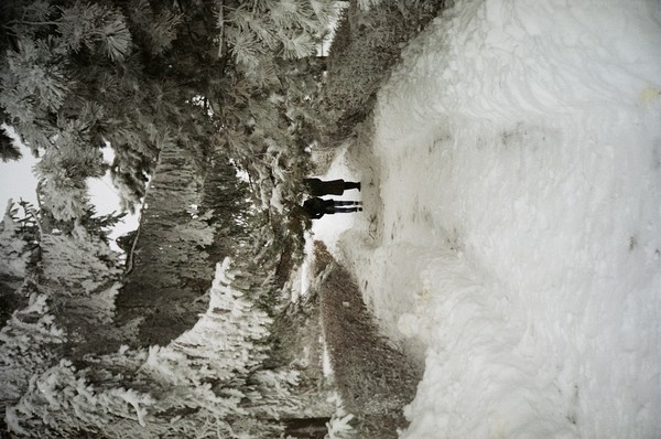 winter