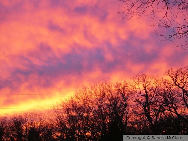 Winter Sunset