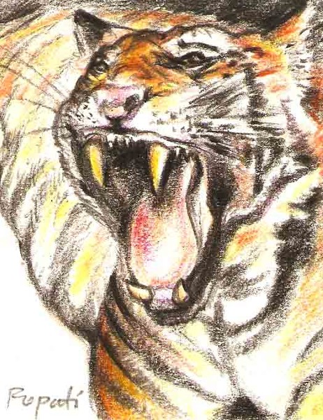 Roar