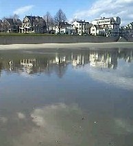 Reflection 