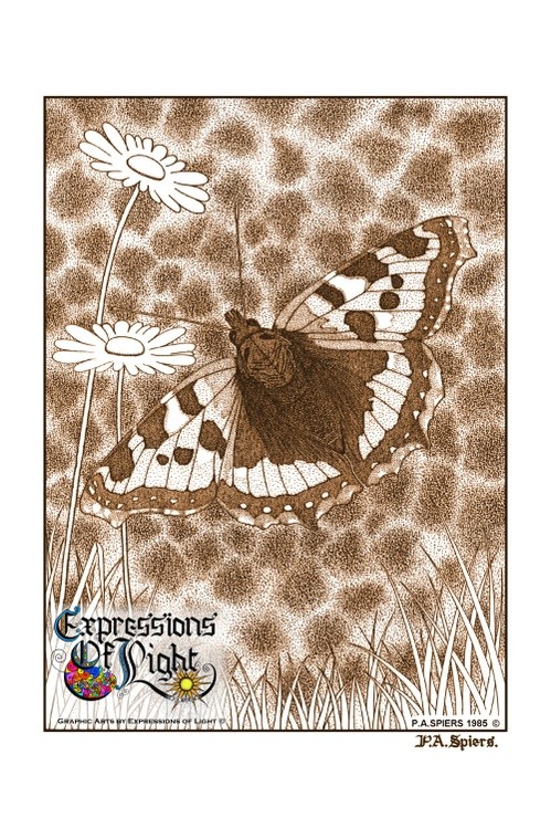 ExpoLight-Graphic-Arts-Butterfly-1985-0001 (Pen-&-Ink-Sepia-SP)