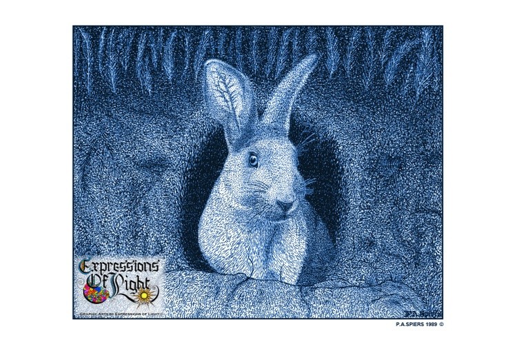 ExpoLight-Graphic-Arts-Rabbit-1989-0001 (Pen-&-Ink-Blue-Sepia-SP)