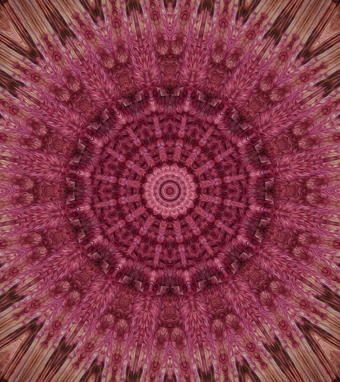 Painted Kaleidoscope 12