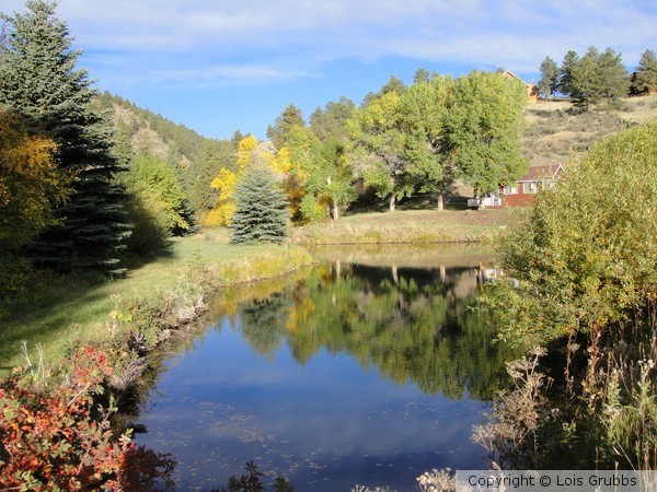 Fall Foilage Sept 2011 My camera 072