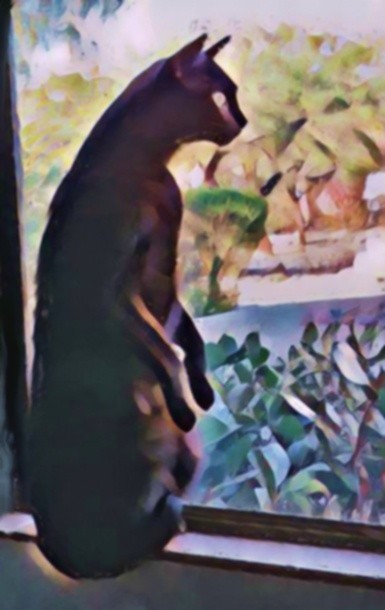Mundo Spying the Garden