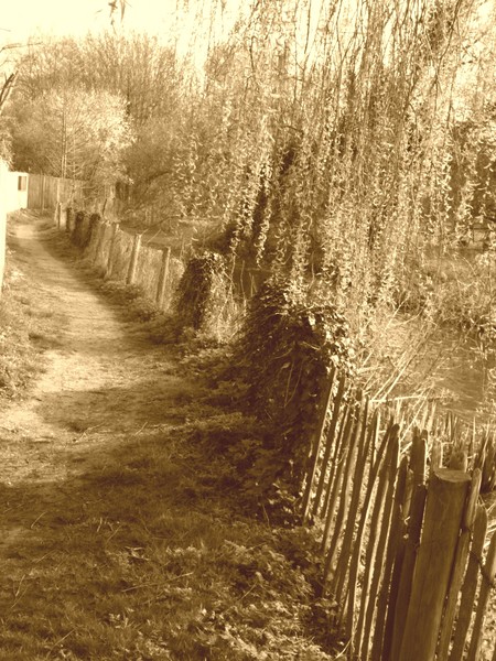 On the beaten track