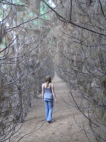 Walking Alone