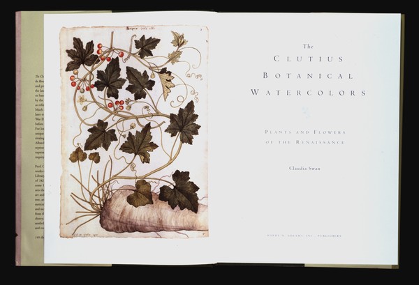 The Clutius Botanical Watercolors