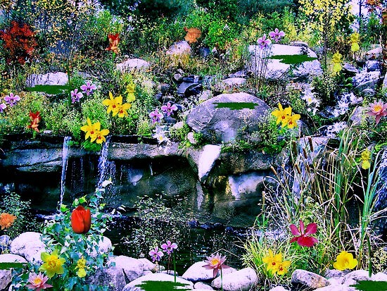 Rock Garden