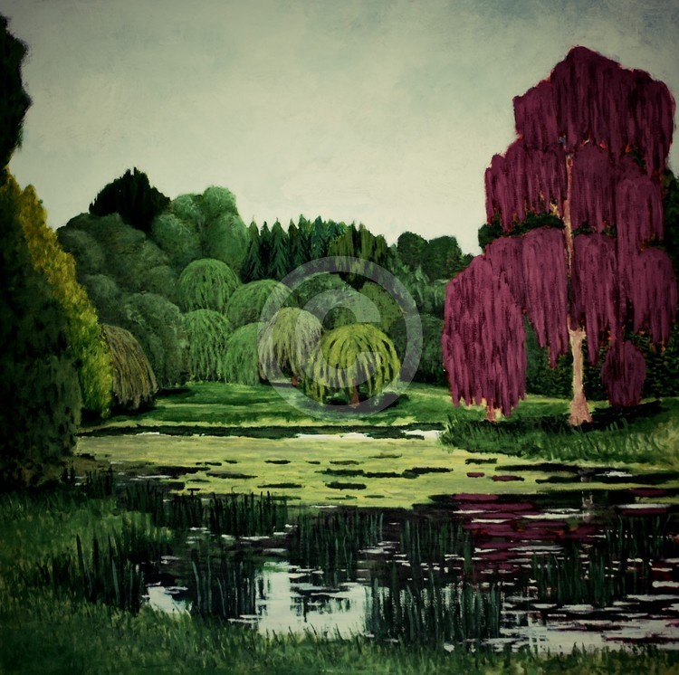 The Lake
