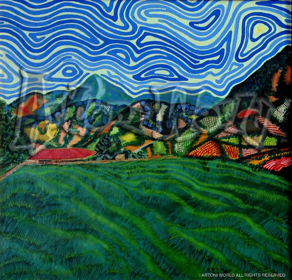 Cerro Punta por la Tarde