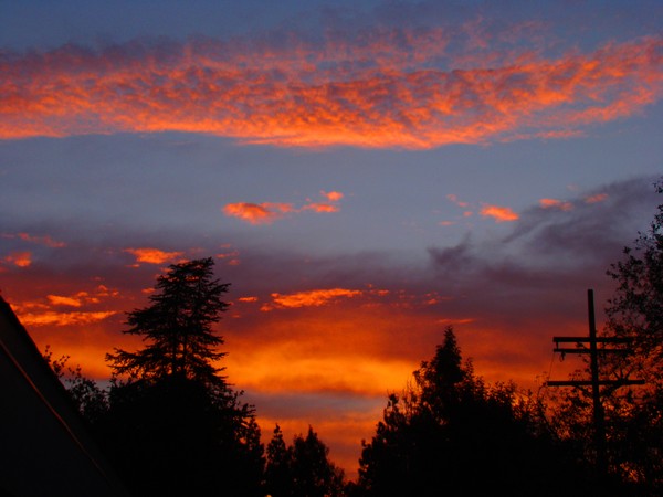 Rise of a New Day