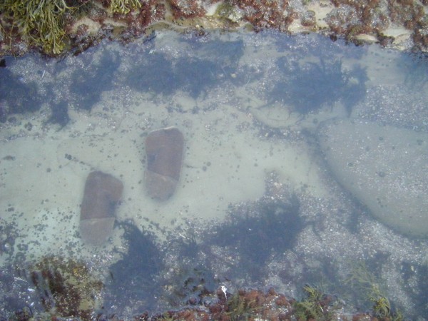 Footsteps