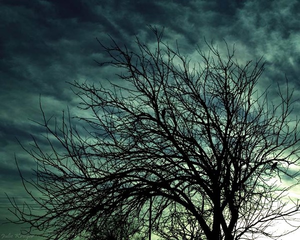 Morning Sky - Original Fine Art Print Metallic