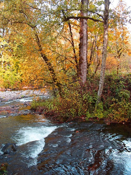 River Bend