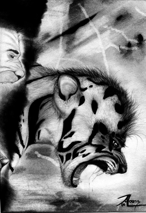 Why Yes, Your a Tiger