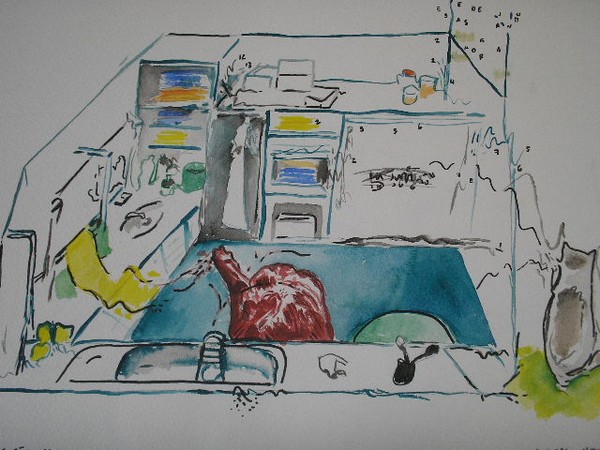 cat dream 2
