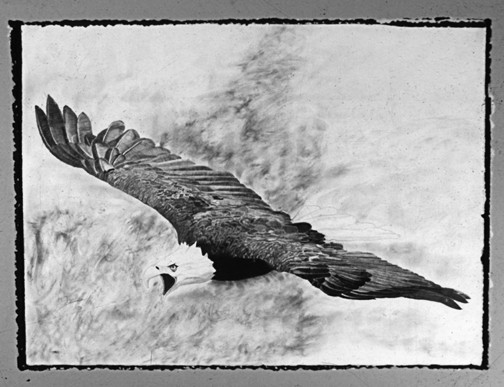 Soar