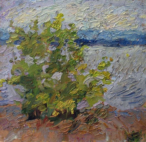 Bush above the Volga-river. Zhiguli. 1979