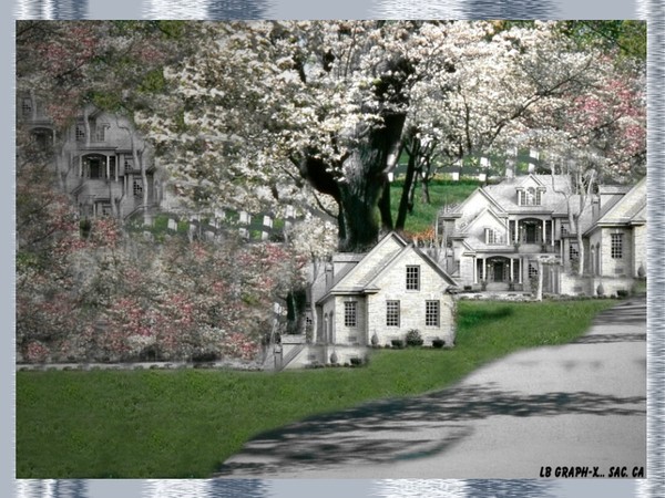 Tranquil Village