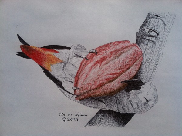 African Grey Parrot (Original Artwork Sold)