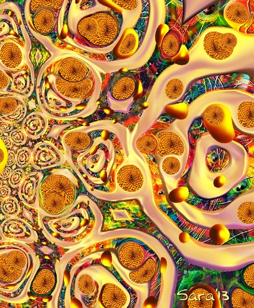 Abundance 2