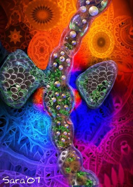 Dragonfly