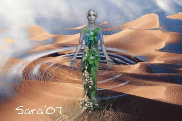 Oasis 3