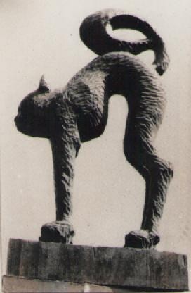 The cat