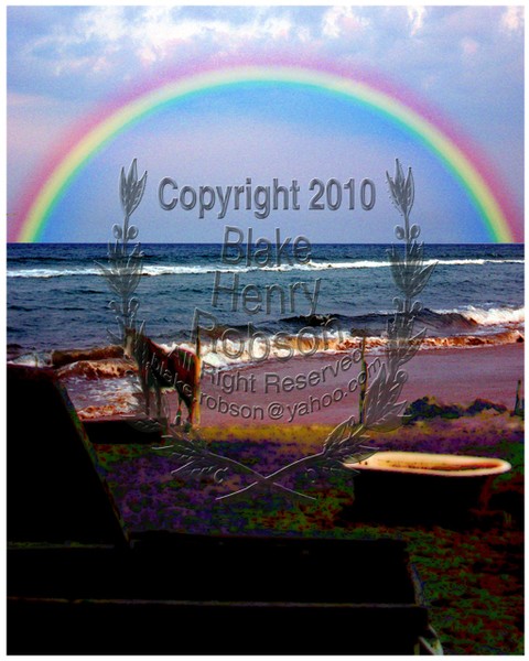Horse Land To Sea Rainbow Edit