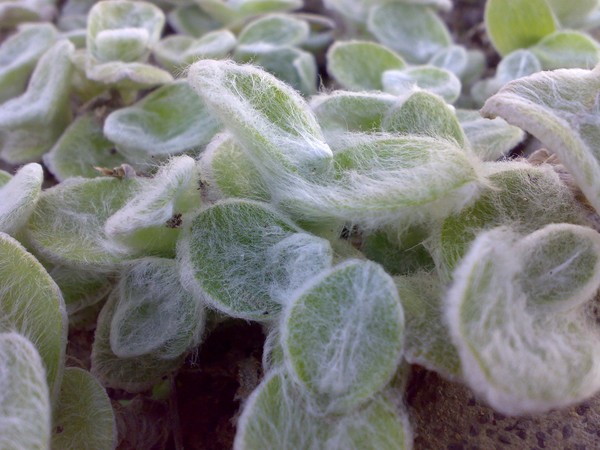 my photography