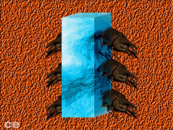 Block and animals