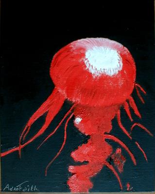 Jellyfish