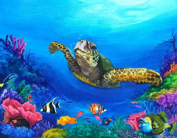 Rainbow Sea