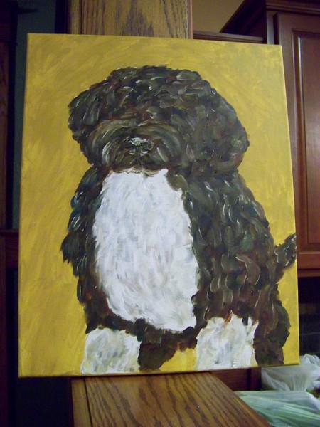 Bo
