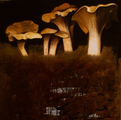 81 X 81 OIL, CANVAS