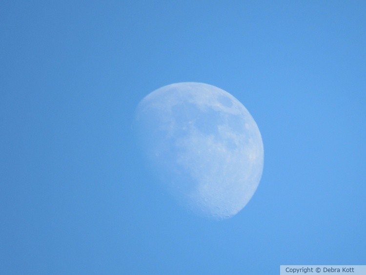 Daytime Moon
