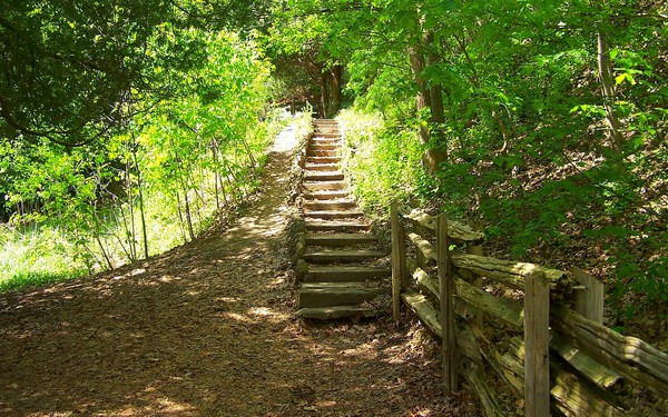 Stepping To The Unknown