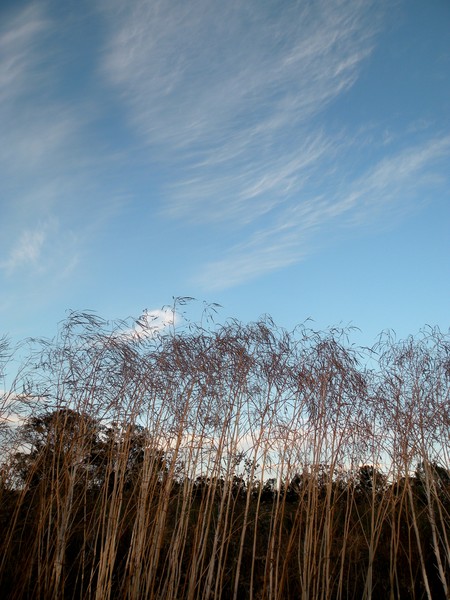Beside the road