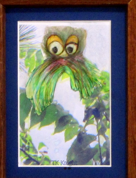 A very confused owl