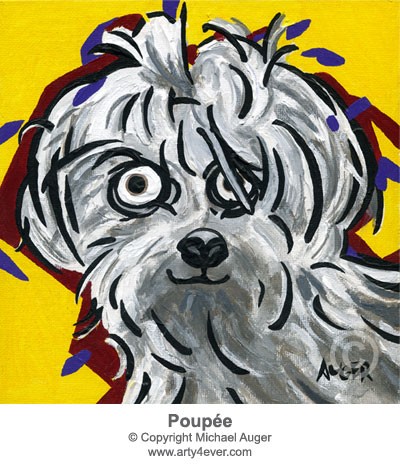 Poupee the Maltese