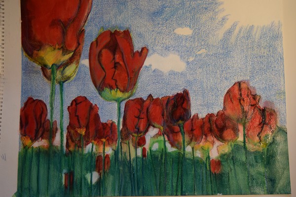 Field of Lovers II