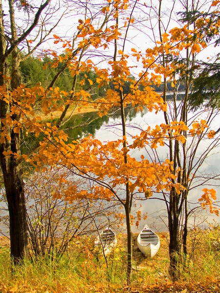 Two Canoes