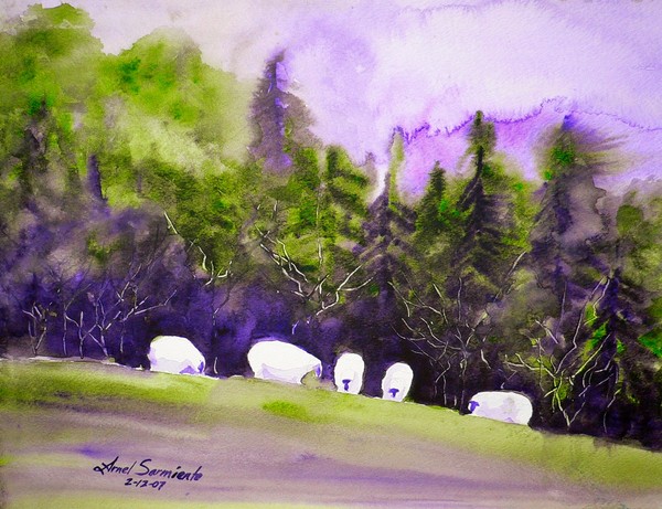 Five Sheeps