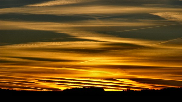 trails
