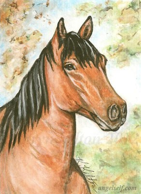 Quarter Horse ACEO