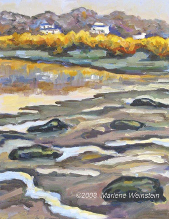 Wintertime Creek