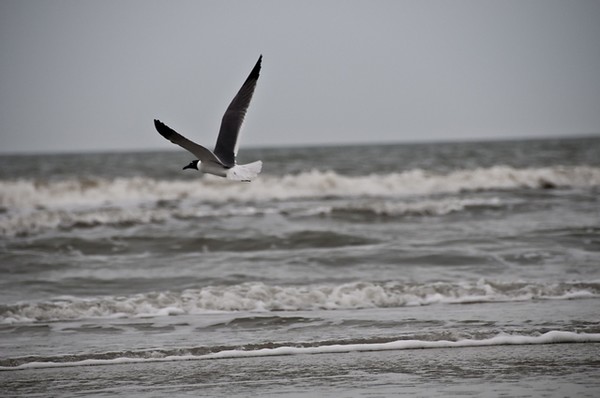 Kiawah
